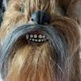 Star Wars - Chewbacca Mask Image 4