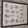 2 Large 1 vegetable & 1 herb garden picture Sets.  selling both for 8 euro. 40X50CM Image 2