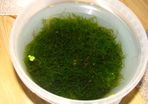 Aquarium plants