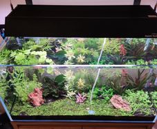 Aquarium + Cabinet