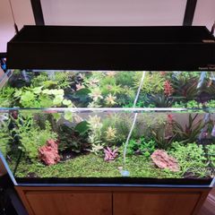 Aquarium + Cabinet
