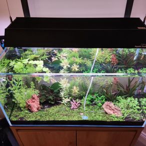 Aquarium + Cabinet