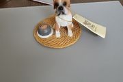 Dog ornament boxer RFA