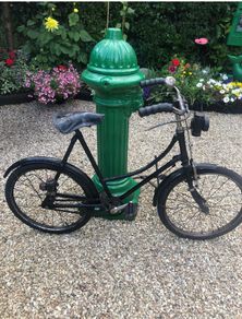 Vintage Junior High Nelly Bicycle
