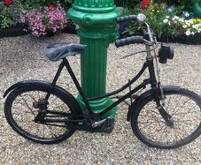 Vintage Junior High Nelly Bicycle