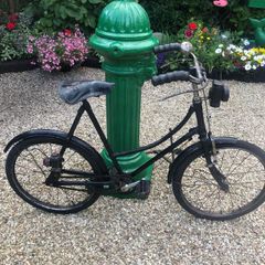Vintage Junior High Nelly Bicycle
