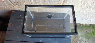 fish aquarium