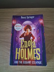 Enola Holmes Book