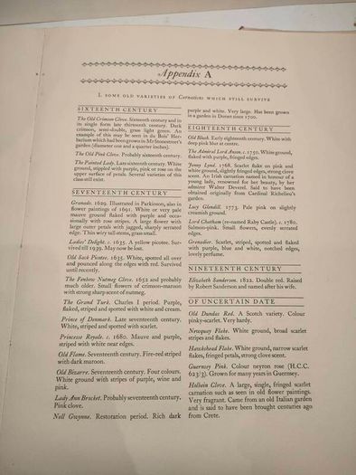 Old Carnations and Pinks First Edition