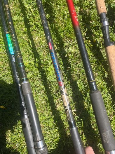 fishing
