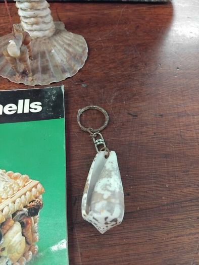 Vintage Shell Art