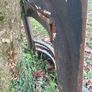 Cast Iron Fireplace Surround. Image 3