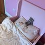 IKEA Busunge Extendable Bed and Husvika Mattress Image 7