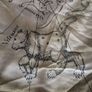 Fendi original silk women's scarf Image 3
