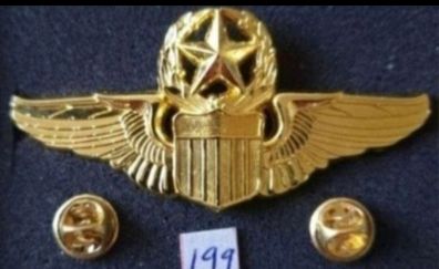 United states,  aviation wings ,,,,,,(199)