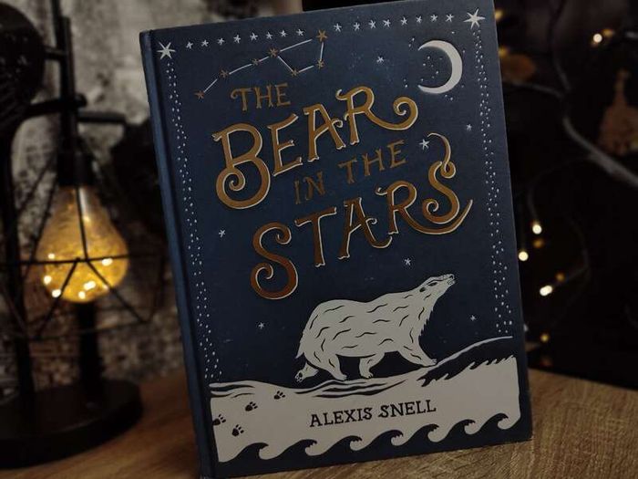 The Bear in the Stars ! Hardcover ! 2020 ! by Puffin !