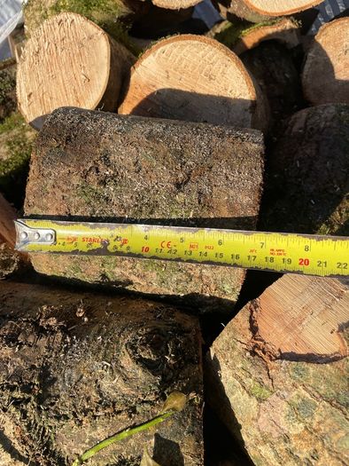 Ash Firewood