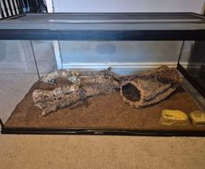 Reptile Vivarium
