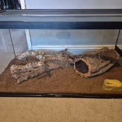 Reptile Vivarium