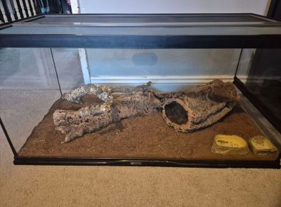 Reptile Vivarium