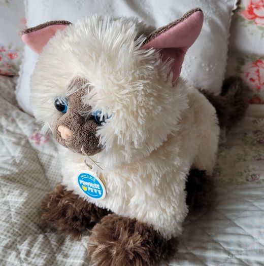Build a bear cat