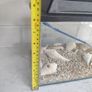 Fish tank Image 3