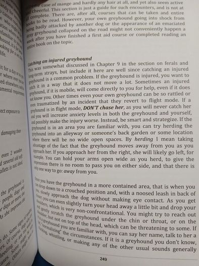 Understanding Greyhounds - Mary Fox