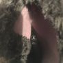 Ladies K Brand Wide fit Suede Boots, Size 7 Image 8