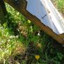 insulated roof sheets Image 4