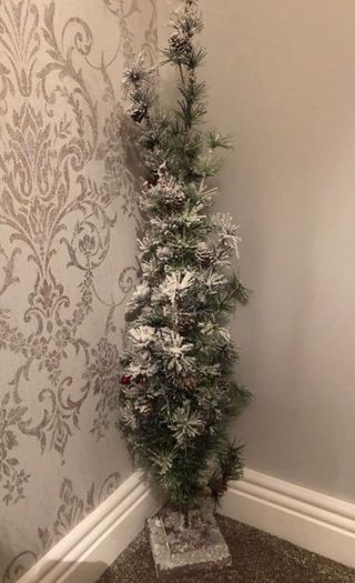 Christmas trees x 6 Easy Living .
