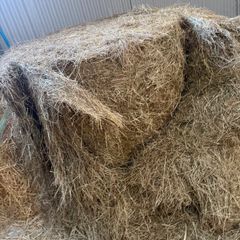 Hay for sale