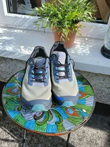 On cloud 9.5 runners