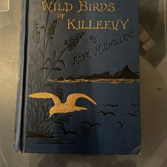The Wild Birds of Killeevy (1883) (Hardcover) Mulholland, Rosa Published by Burns, Oates