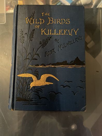 The Wild Birds of Killeevy (1883) (Hardcover) Mulholland, Rosa Published by Burns, Oates