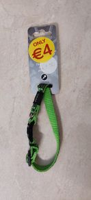Small Dog collar.