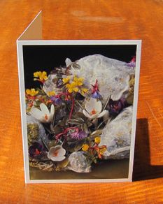 Greetings Card Alpine Plants
