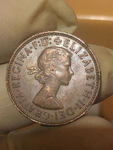 Elizabeth Halfpenny  x28 Pictures of each coin