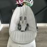 4moms Mamaroo Image 2