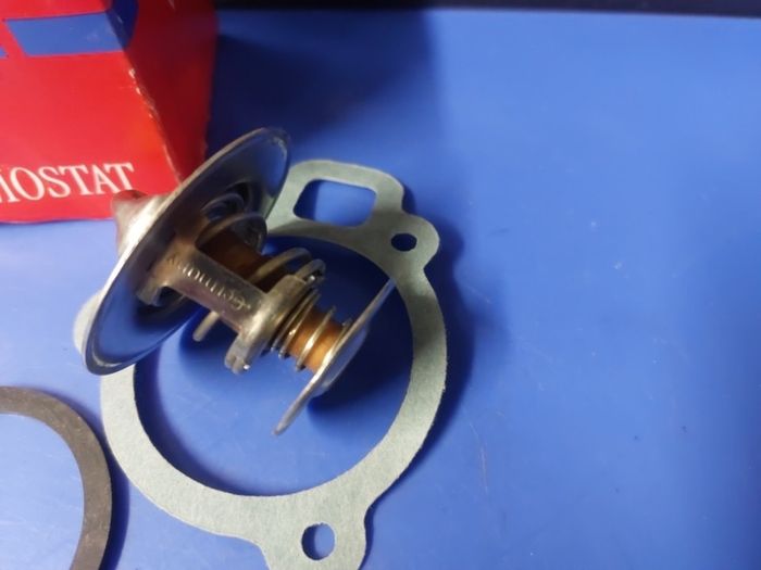 Wahler thermostat