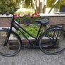 Ladies Bike ORBEA Image 2