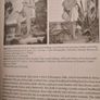 Racisms. From The Crusades To The Twentieth Century. By Francisco. Bethe Court. In Very Good Condition.444 pages. Image 5
