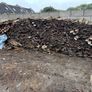 Free Wood  Collection Only Image 3