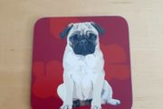 Pug dog coaster BN