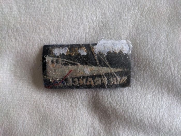 Futr Pilot Air France Material Badge