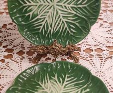 Plates Green Cabbage