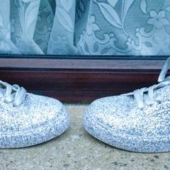 Sparkly Women's Shoes/runners (used).