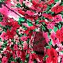 Floral dress Image 7