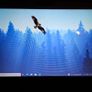 Toshiba Satellite Pro Laptop Image 8