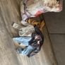 girls clothes Image 2