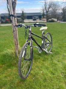Pendleton Brooke Bike